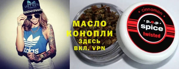 спиды Богородицк