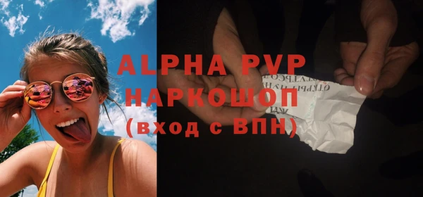спиды Богородицк