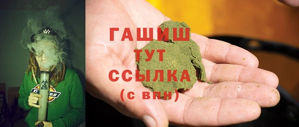 молекула духа Богданович