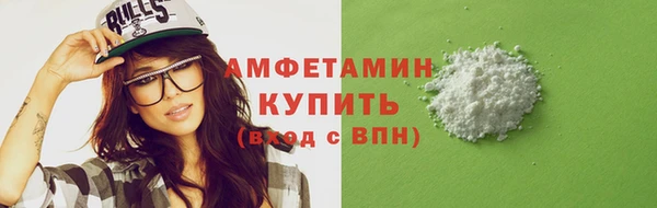 молекула духа Богданович