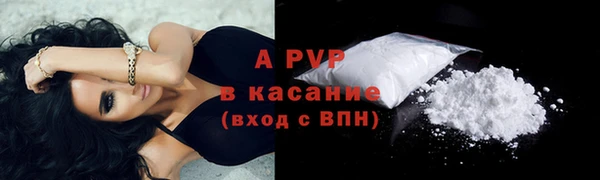 спиды Богородицк