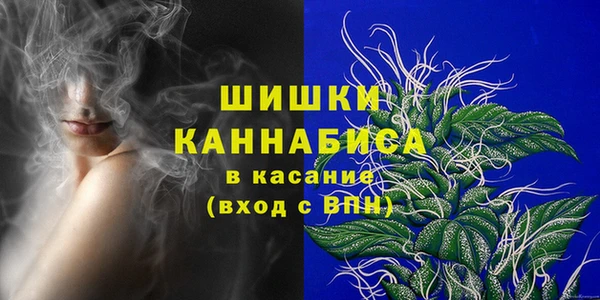 ГАЛЛЮЦИНОГЕННЫЕ ГРИБЫ Балабаново