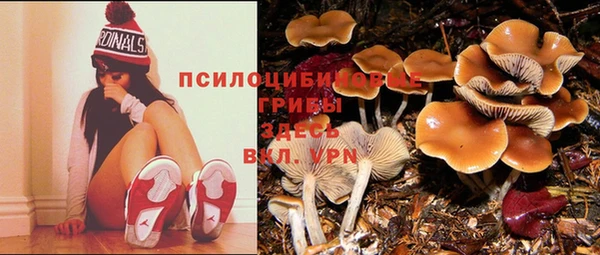 марки nbome Богородск