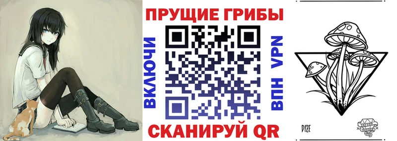 Псилоцибиновые грибы ЛСД  Купить закладки  Славянск-на-Кубани 